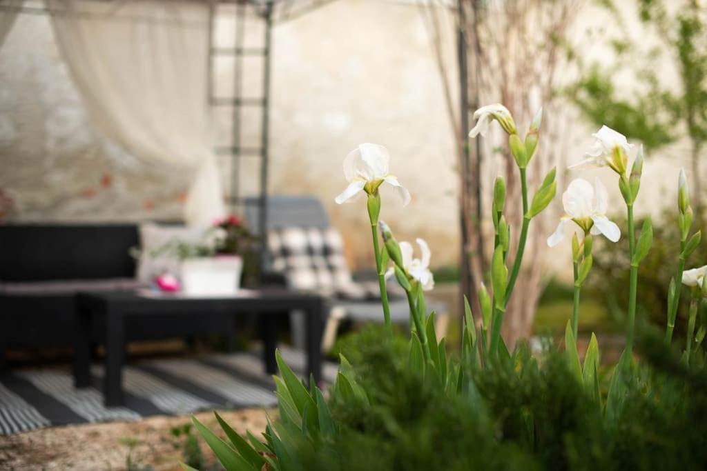 Apartment Val With Sea View Šibenik Екстериор снимка